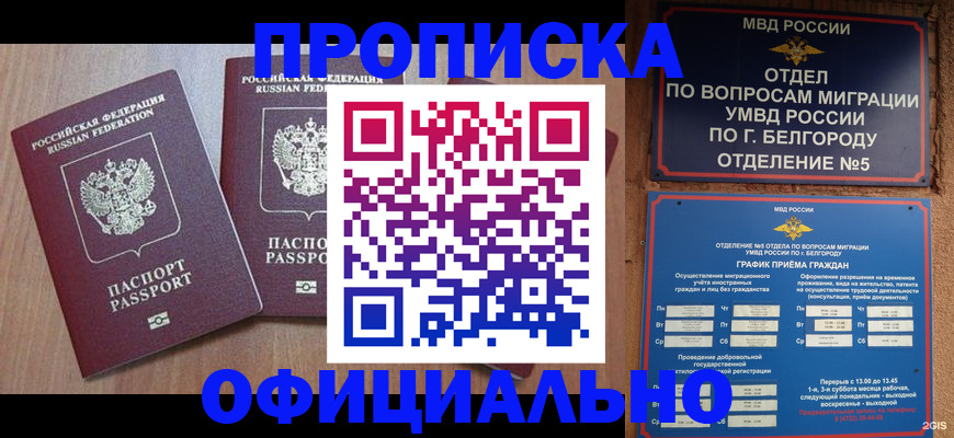 найти адрес прописки в Жигулёвске